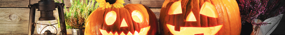 Halloween Halloween